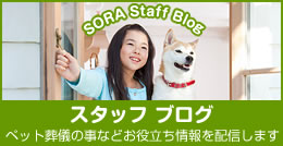 静岡と動物を愛する社長の日記・ブログ